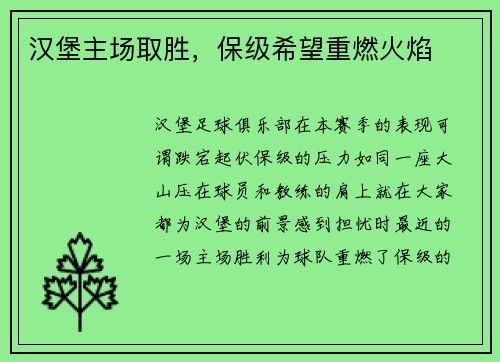 汉堡主场取胜，保级希望重燃火焰